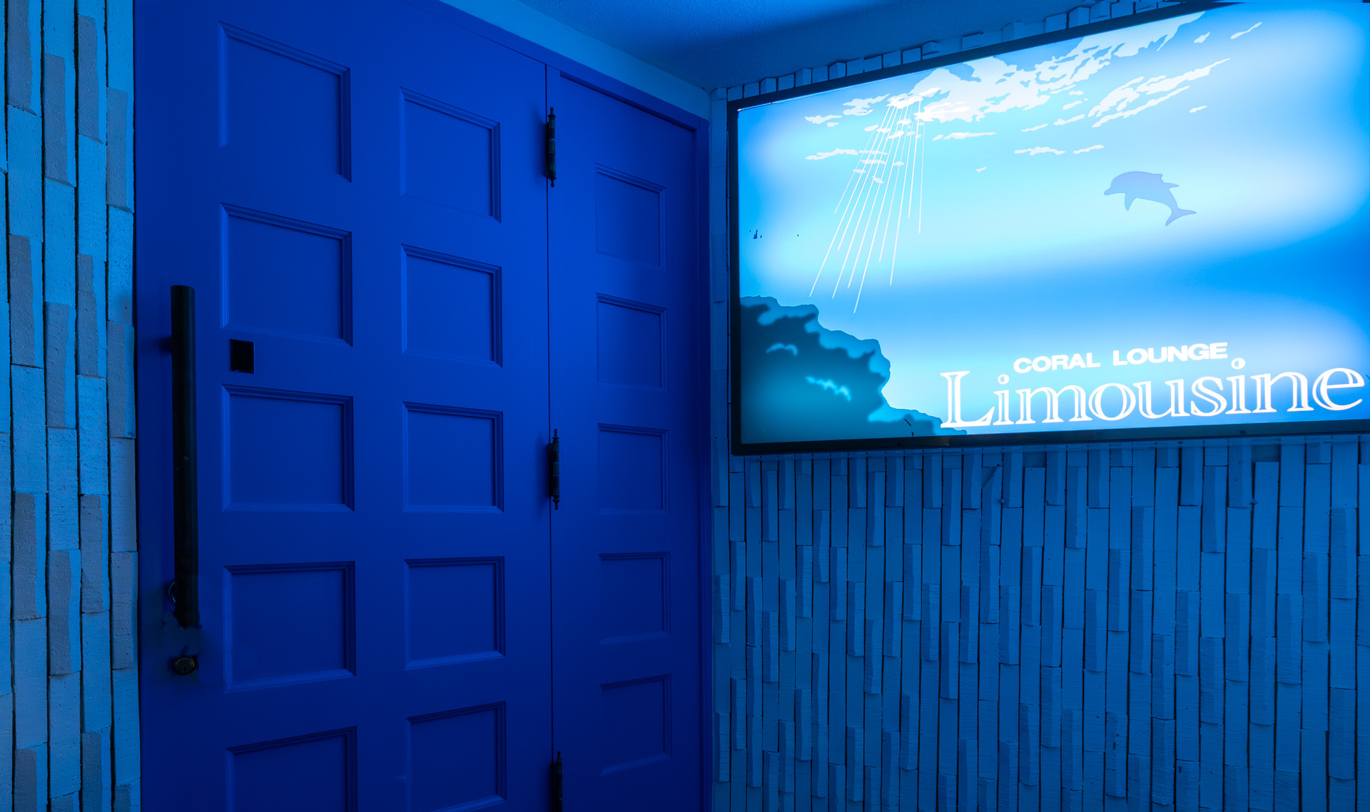 limous05.jpg